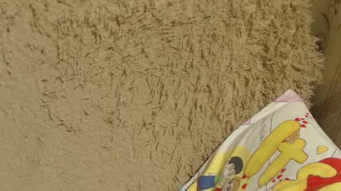 say meow and send tips  online show from 28, 1, 2025