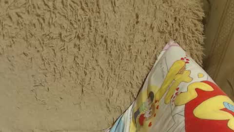 say meow and send tips  online show from 12, 2, 2025