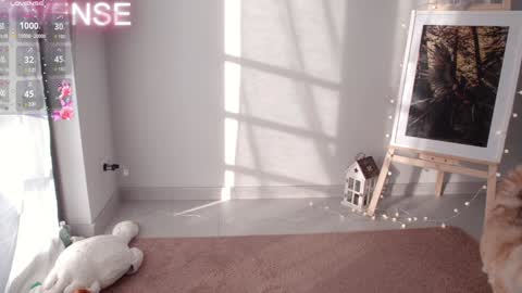 NONA    follow online show from 31, 12, 2024