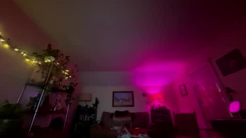 carlacee online show from 7, 3, 2026