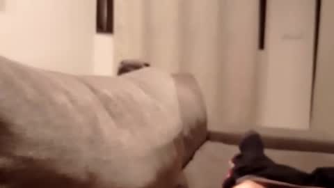 Snapshot of carlitito1 chatting on 30, 10, 2025 carlitito1 online show from 30, 10, 2025