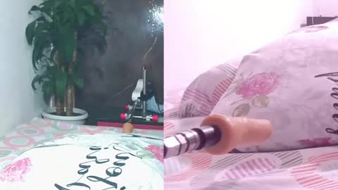 Carol online show from 11, 4, 2026