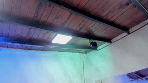 Snapshot of caroline_palmerr chatting on 1, 2, 2026 Carolina online show from 1, 2, 2026