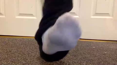 Snapshot of cash13bychanel chatting on 26, 1, 2025 cash13bychanel online show from 26, 1, 2025