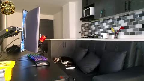 cash_master777 online show from 21, 5, 2026