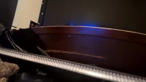 Snapshot of casidy1 chatting on 8, 1, 2025 casidy1 online show from 8, 1, 2025