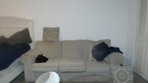 Snapshot of casinocam chatting on 18, 2, 2025 CasinoCam online show from 18, 2, 2025