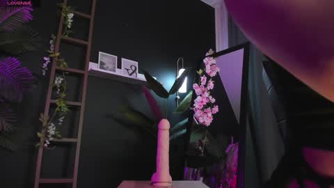 assie online show from 2, 2, 2025