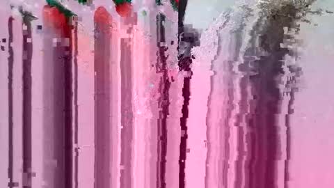 cksexeeee31 online show from 9, 1, 2026