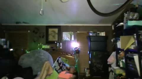 Snapshot of cassistiger69 chatting on 2, 11, 2025 cassistiger69 online show from 2, 11, 2025