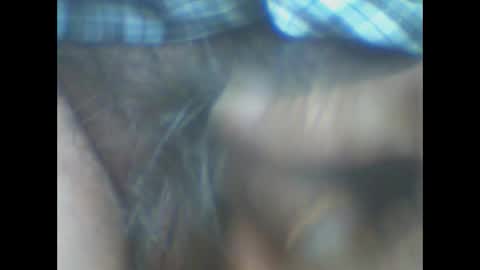 castells online show from 31, 3, 2026