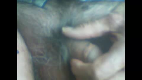 castells online show from 10, 4, 2026