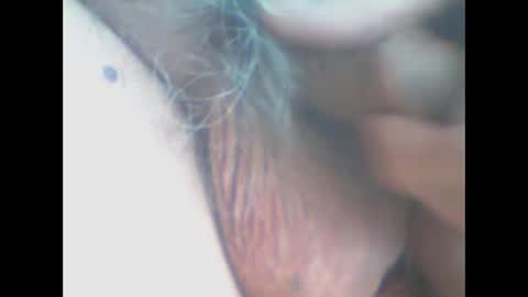 castells online show from 11, 4, 2026