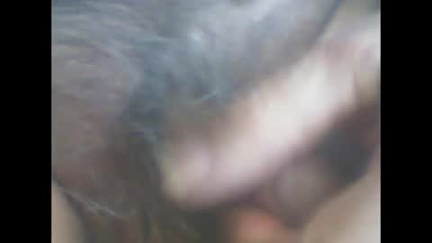 castells online show from 15, 4, 2026