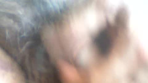 Snapshot of castells chatting on 26, 6, 2026 castells online show from 26, 6, 2026