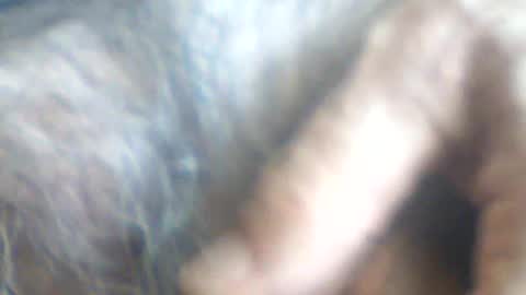 Snapshot of castells chatting on 2, 7, 2026 castells online show from 2, 7, 2026