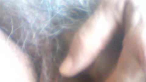 Snapshot of castells chatting on 7, 7, 2026 castells online show from 7, 7, 2026