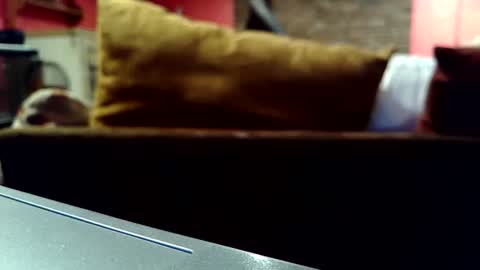 Snapshot of castration40 chatting on 17, 10, 2025 castration40 online show from 17, 10, 2025