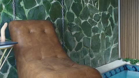 Dani   online show from 2, 4, 2026