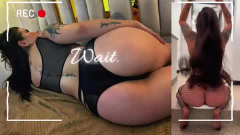 Cataleya online show from 17, 1, 2026