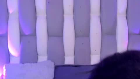 Cat  online show from 4, 12, 2024