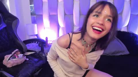 Cat  online show from 14, 12, 2024