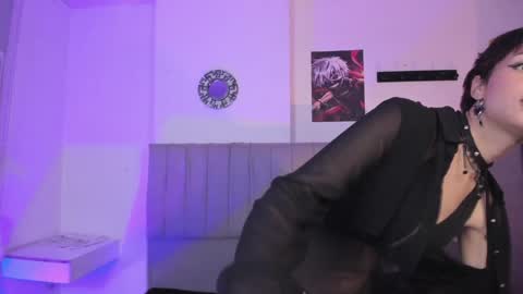 Cat  online show from 11, 1, 2025