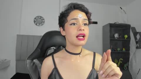 Cat  online show from 18, 2, 2025