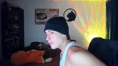 catnuaa online show from 6, 12, 2024