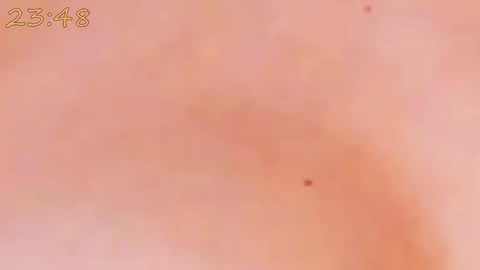    online show from 25, 1, 2025