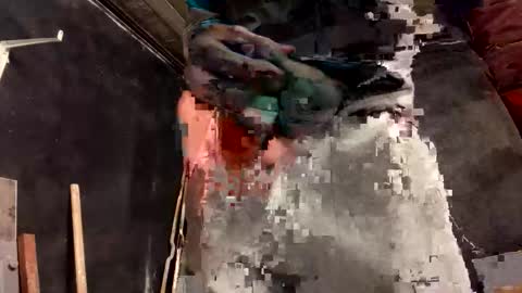 cclovefrench online show from 13, 9, 2025