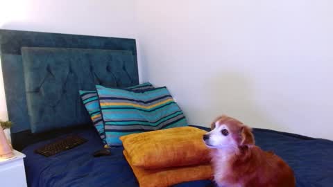 Snapshot of cedrixx10 chatting on 25, 10, 2025 Cedrixx10 online show from 25, 10, 2025