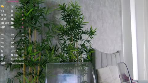 Snapshot of celinemeyerr chatting on 31, 1, 2025 CelineMeyer online show from 31, 1, 2025