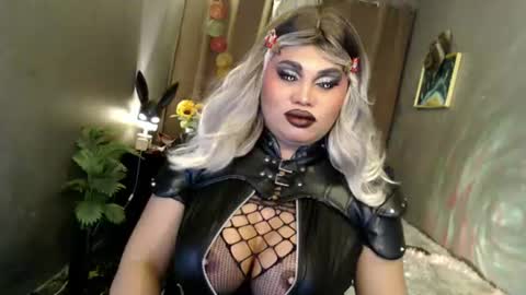 cellinekittcumerr online show from 14, 6, 2026