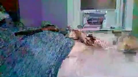 Snapshot of cervixpainter27 chatting on 3, 11, 2025 cervixpainter27 online show from 3, 11, 2025