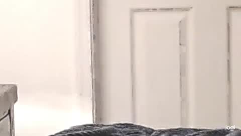 Snapshot of cfnmkinky28 chatting on 24, 12, 2024 cfnmkinky28 online show from 24, 12, 2024