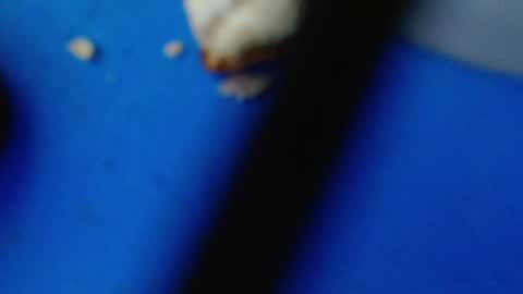 cguffey2284 online show from 7, 3, 2025