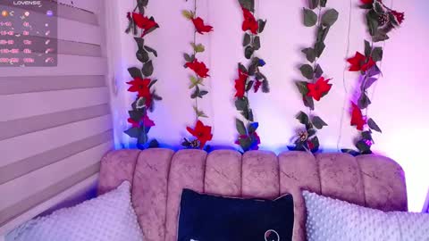 charlotte online show from 27, 1, 2025