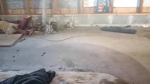 Snapshot of chadr1616 chatting on 15, 11, 2025 chadr1616 online show from 15, 11, 2025