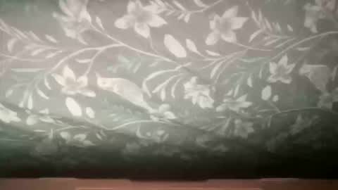 Snapshot of channelll31 chatting on 2, 12, 2025 channelll31 online show from 2, 12, 2025