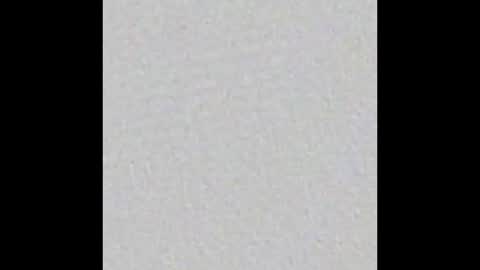 Charlotte online show from 3, 3, 2025