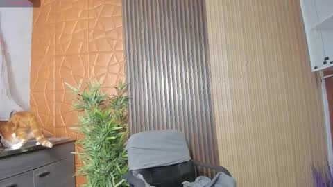 Snapshot of charlotte_whitee1 chatting on 17, 2, 2025 Charlotte Everyday From 0700 to 1300 Col Time online show from 17, 2, 2025