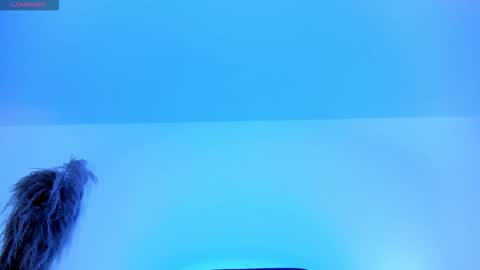 Snapshot of charlotte_whitee1 chatting on 12, 10, 2025 Charlotte Everyday From 0700 to 1300 Col Time online show from 12, 10, 2025
