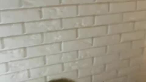 charlottebunnyuwu online show from 12, 2, 2025