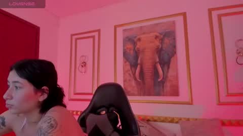 Charlottee online show from 2, 7, 2026