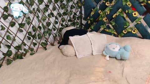 Snapshot of charly_evans60 chatting on 19, 2, 2025 charly_evans60 online show from 19, 2, 2025