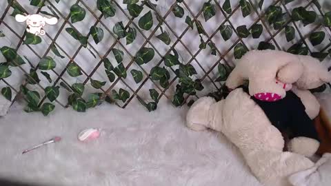 Snapshot of charly_evans60 chatting on 24, 2, 2025 charly_evans60 online show from 24, 2, 2025