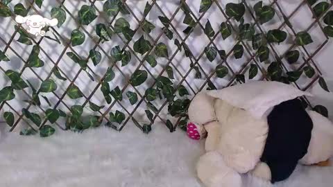 Snapshot of charly_evans60 chatting on 25, 2, 2025 charly_evans60 online show from 25, 2, 2025