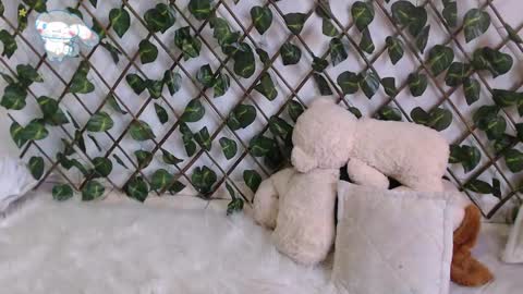 Snapshot of charly_evans60 chatting on 27, 2, 2025 charly_evans60 online show from 27, 2, 2025