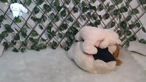 Snapshot of charly_evans60 chatting on 2, 3, 2025 charly_evans60 online show from 2, 3, 2025